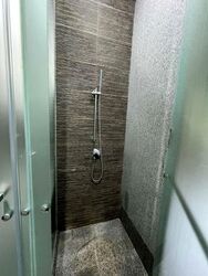 Watertown (D19), Apartment #524968831